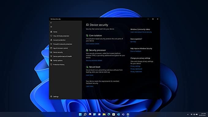 WIn11 Professional